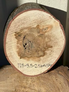 Spalted Maple